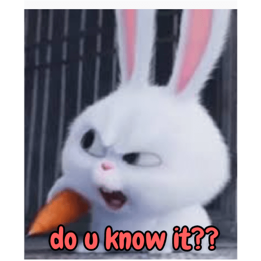Rabbit 26