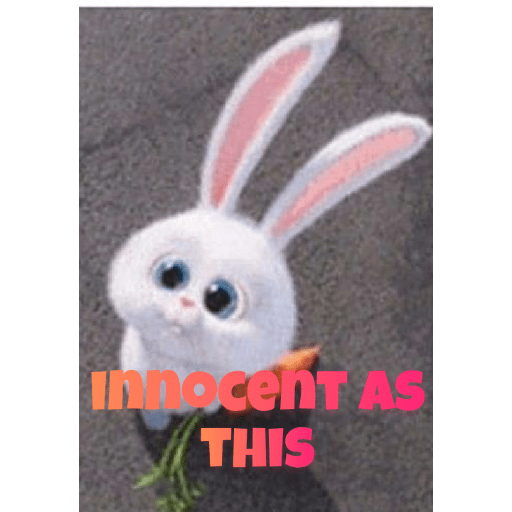 Rabbit 1
