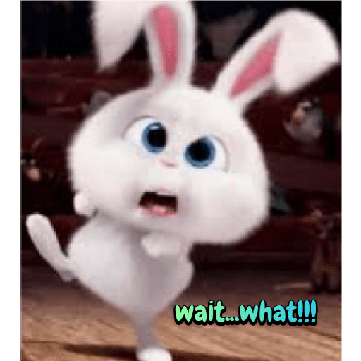 Rabbit 27