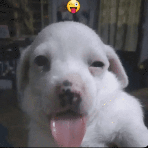 Si? 8