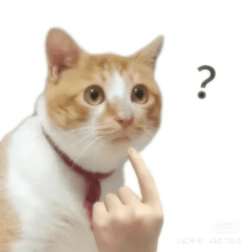 Si? 13