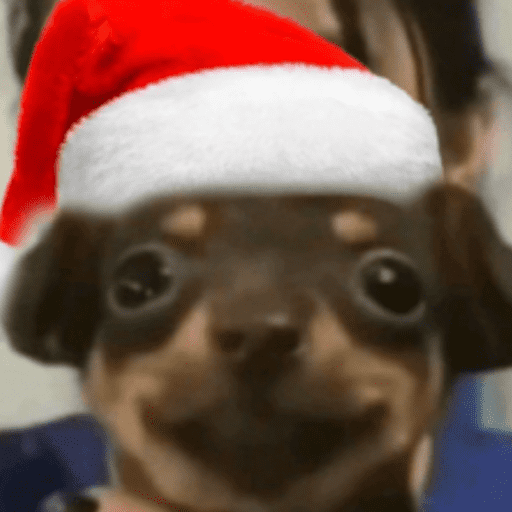 STICKERS PERRITOS NAVIDEÑOS🐶🎄 2