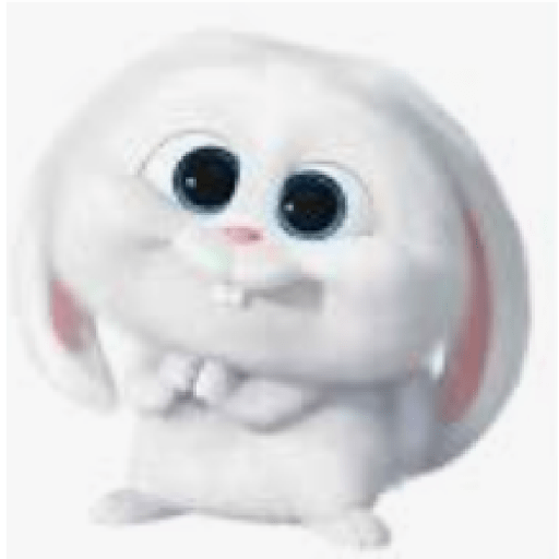 Rabbit 5