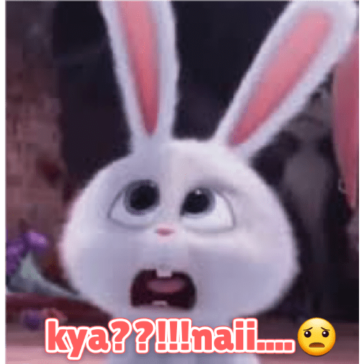 Rabbit 23