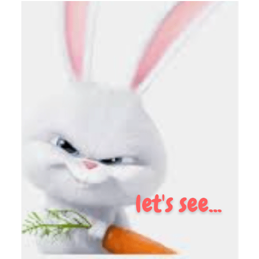 Rabbit 16