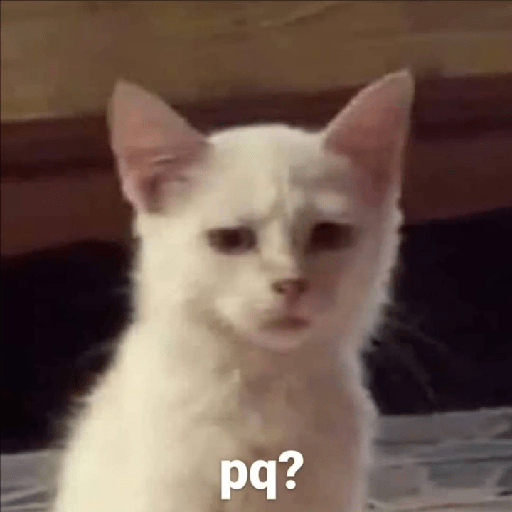Gatitos 19