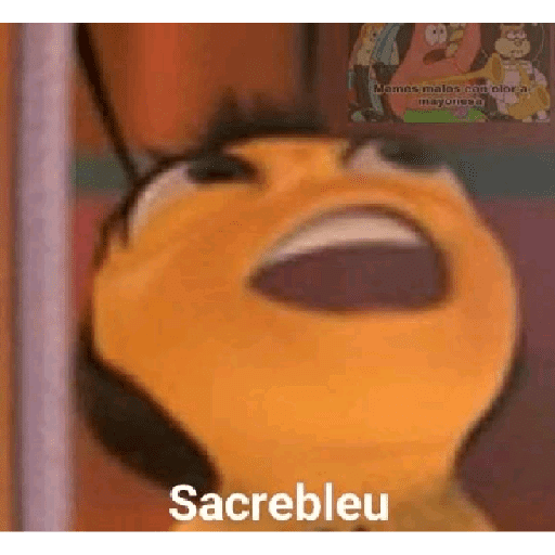 Momos (16) 5