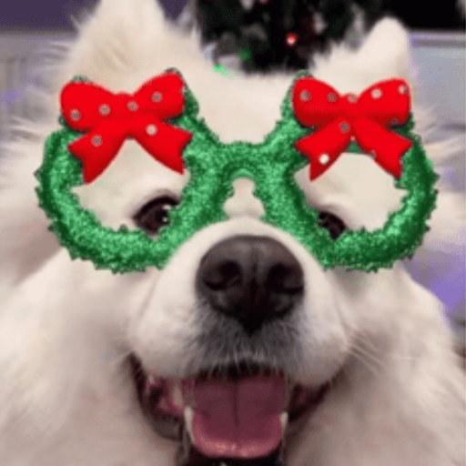 STICKERS PERRITOS NAVIDEÑOS🐶🎄 7