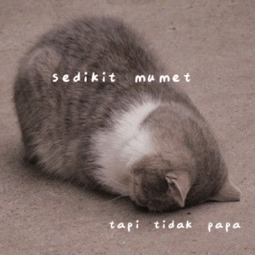 Cat Mode :v 2