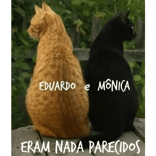 Música do tiktok 14