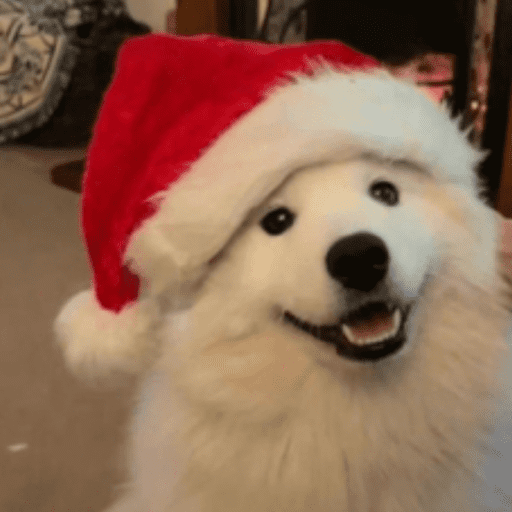 STICKERS PERRITOS NAVIDEÑOS🐶🎄 6