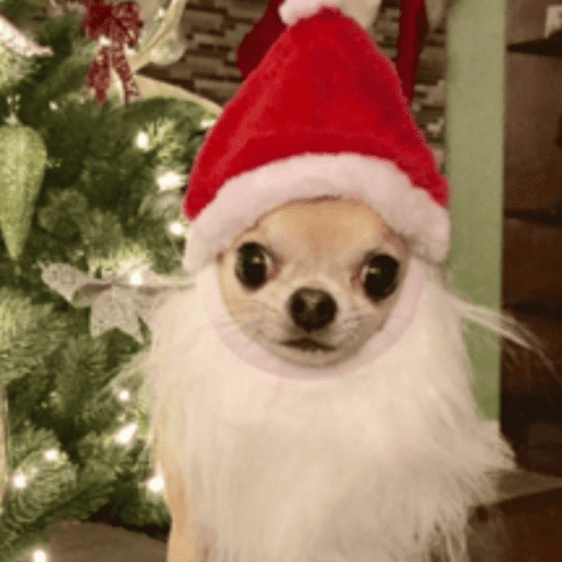 STICKERS PERRITOS NAVIDEÑOS🐶🎄 13