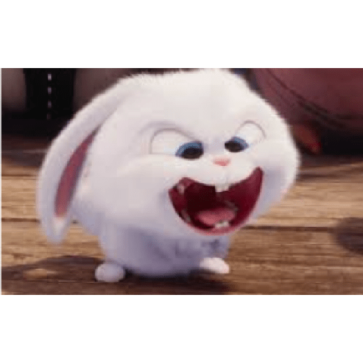 Rabbit 4