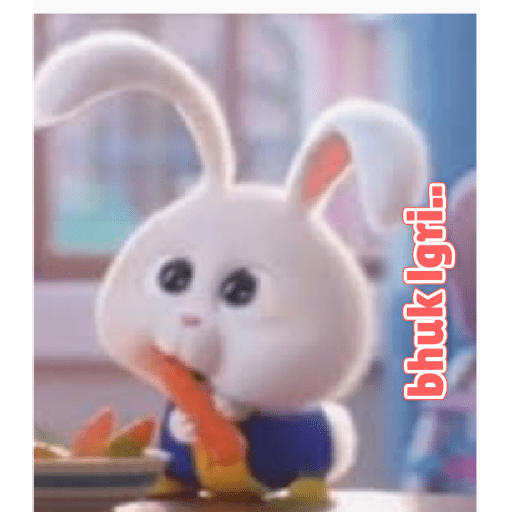 Rabbit 21