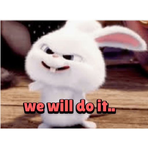 Rabbit 20