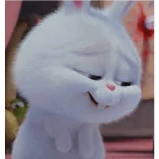 Rabbit 22