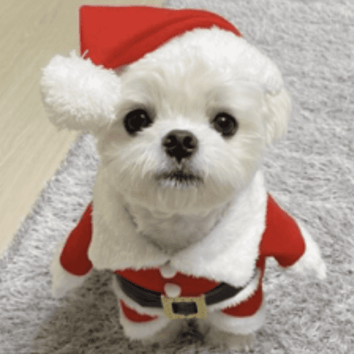 STICKERS PERRITOS NAVIDEÑOS🐶🎄 3