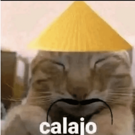 Sapos 6