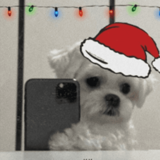 STICKERS PERRITOS NAVIDEÑOS🐶🎄 12