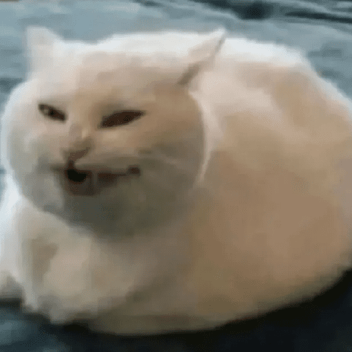 Gatos 21