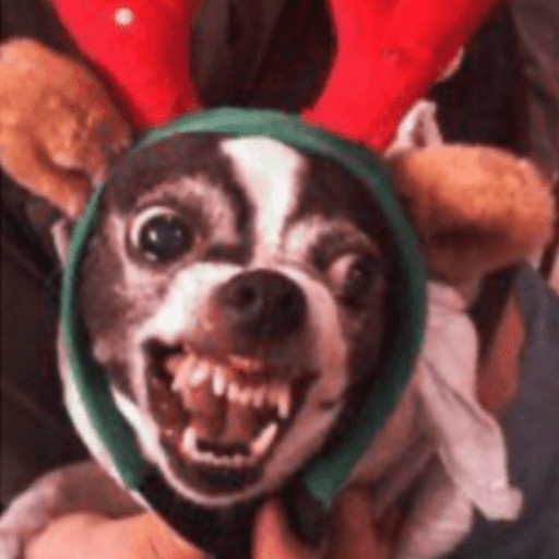 STICKERS PERRITOS NAVIDEÑOS🐶🎄 5