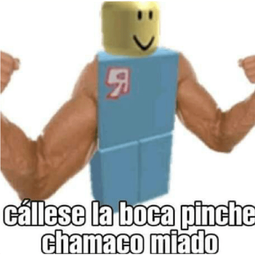 Holap 1