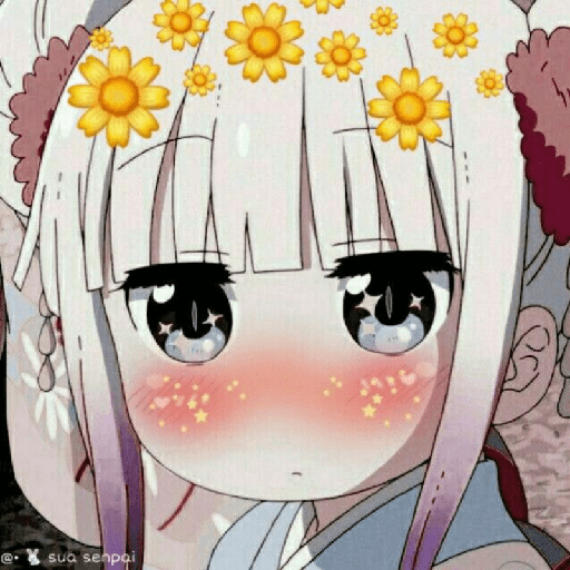 Fofo 17