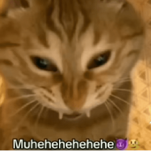 Gatos 20
