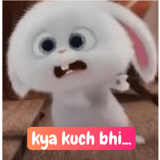Rabbit 30