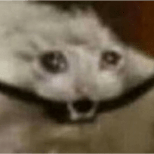 Gatos 27