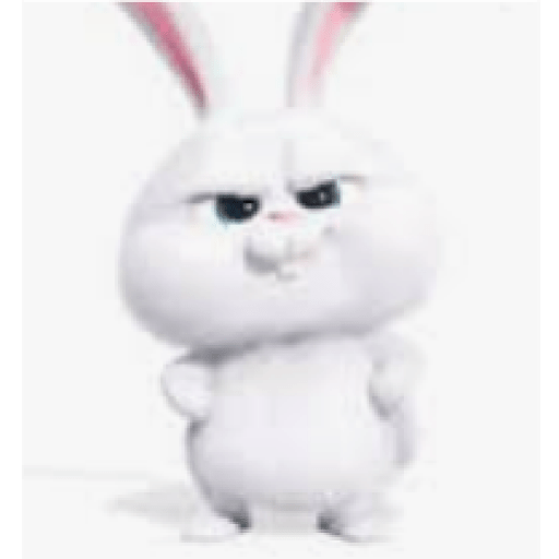 Rabbit 15
