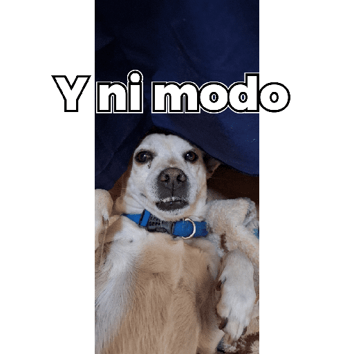 Jajaja 1