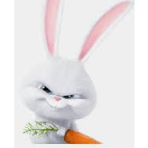 Rabbit 17