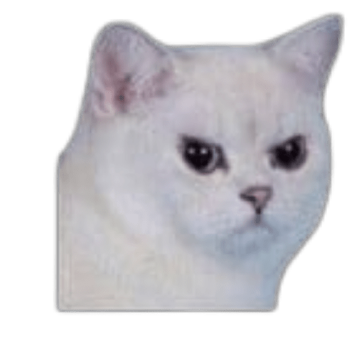 Gatitos 30