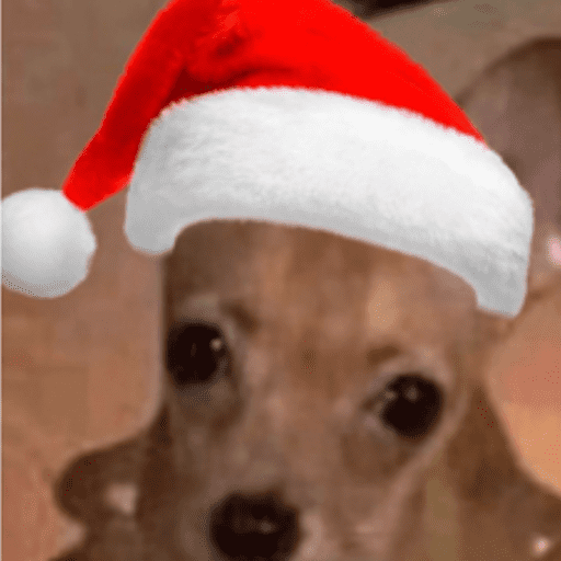 STICKERS PERRITOS NAVIDEÑOS🐶🎄 4