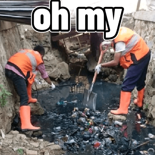Meme 4