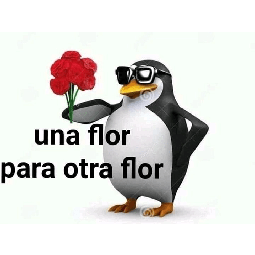 Fofo 18