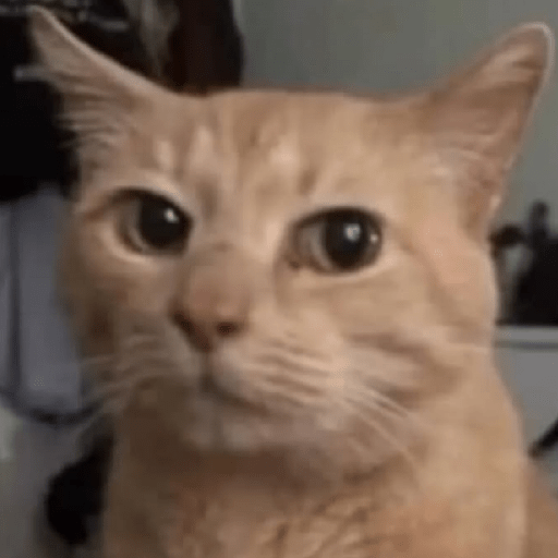Gatos 30