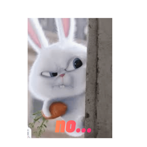 Rabbit 8