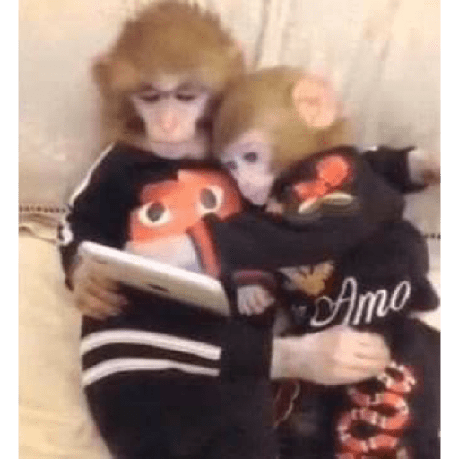 Last romantic of the planet 19