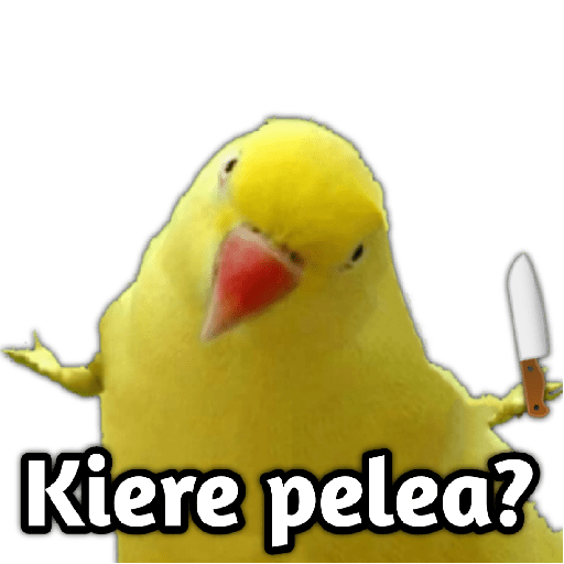 ✨MEMES RANDOM 6✨ 10