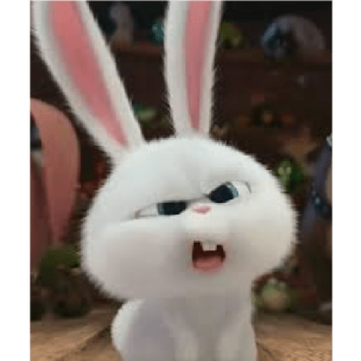 Rabbit 3