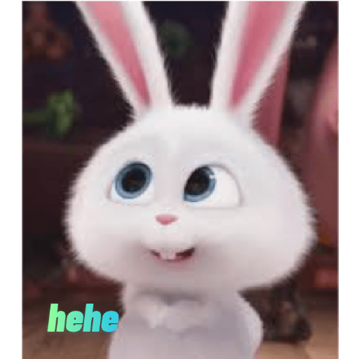 Rabbit 2