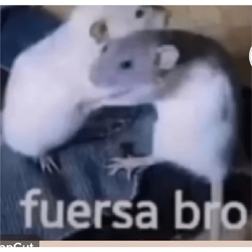 Memes XDD 💅 :v 3