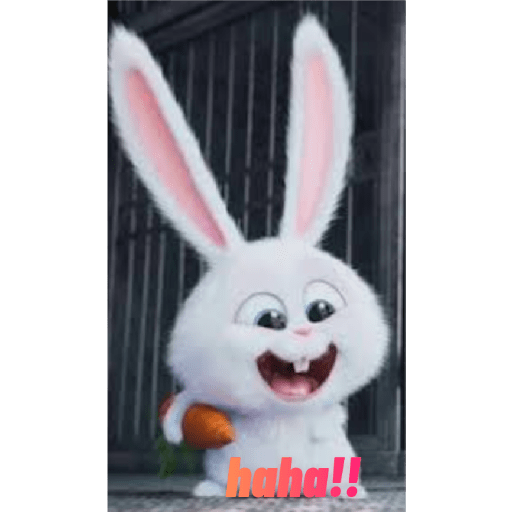 Rabbit 7