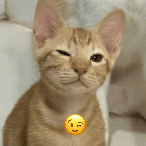 Si? 16