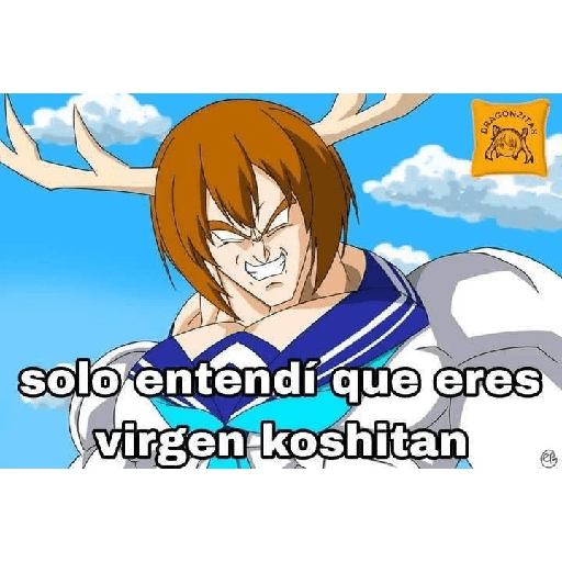 Momos (16) 15