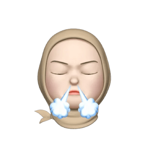 Memoji hijabi🤎 6