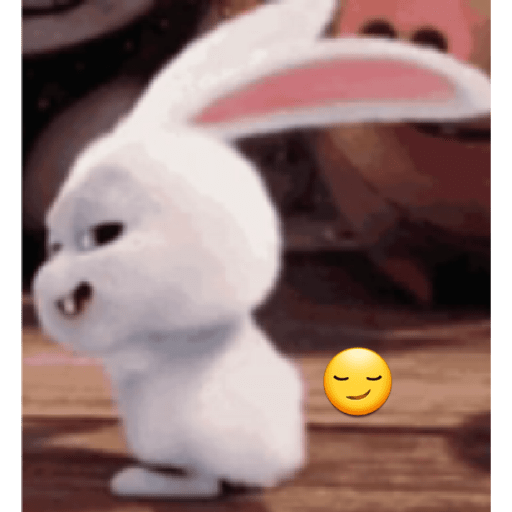 Rabbit 9