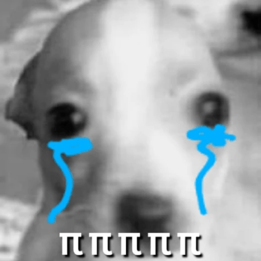 ✨MEMES RANDOM 6✨ 17